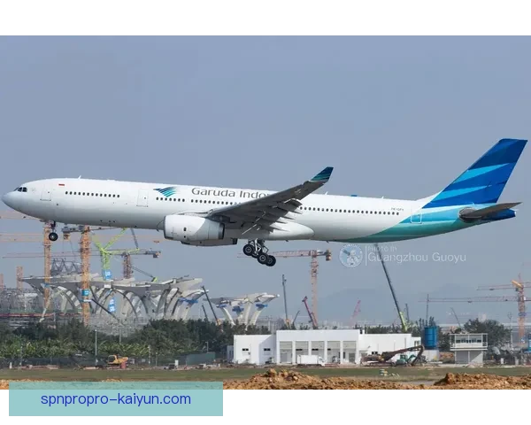 印尼队加鲁达飞翔状态回暖，备受关注的亚洲杯表现值得期待